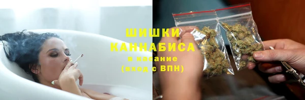 гашик Инта